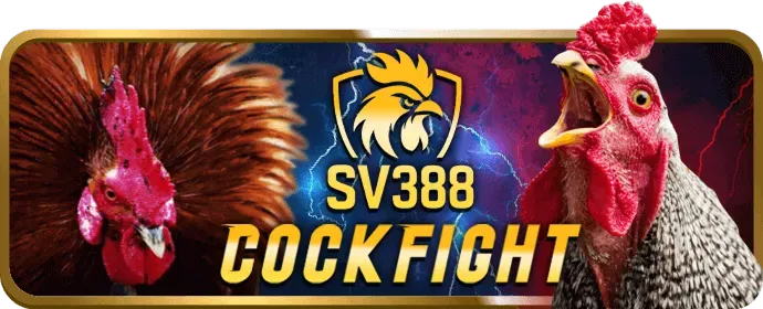 Câu hỏi thường gặp trong các tựa game bài Sunwin 2026